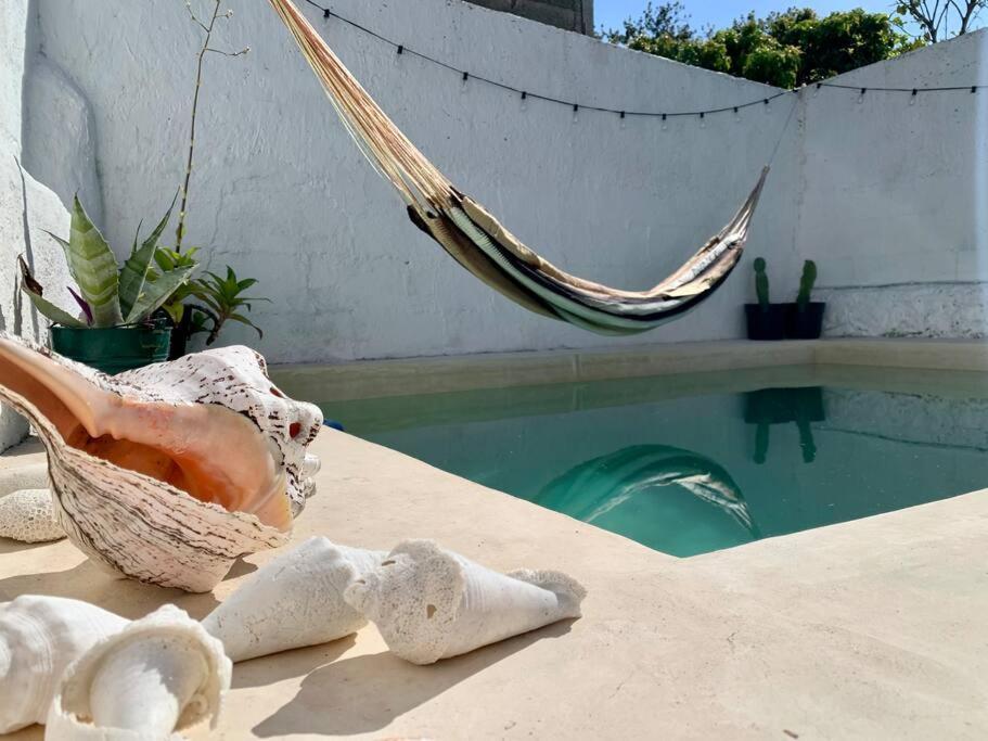 Casita Azul Colonial En El Centro De Merida. المظهر الخارجي الصورة