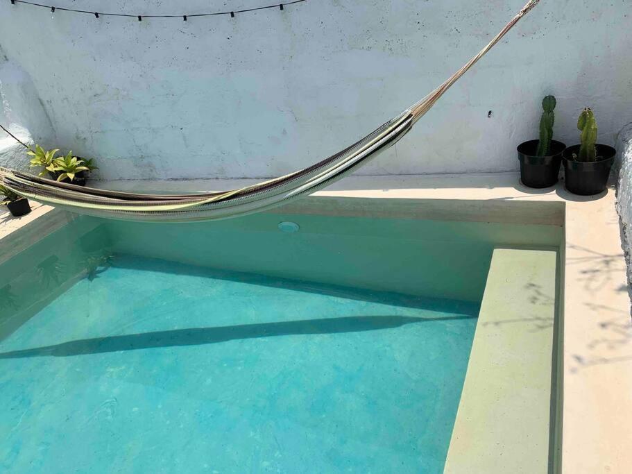 Casita Azul Colonial En El Centro De Merida. المظهر الخارجي الصورة