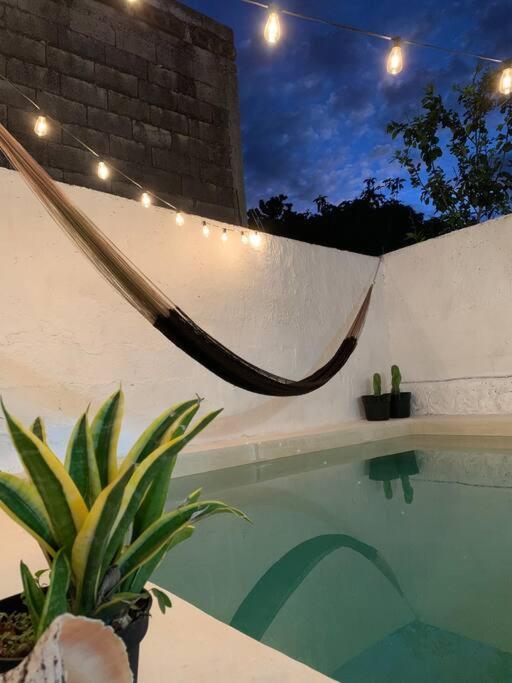 Casita Azul Colonial En El Centro De Merida. المظهر الخارجي الصورة