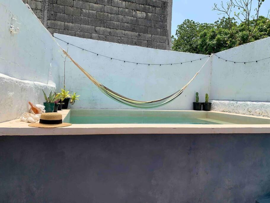 Casita Azul Colonial En El Centro De Merida. المظهر الخارجي الصورة