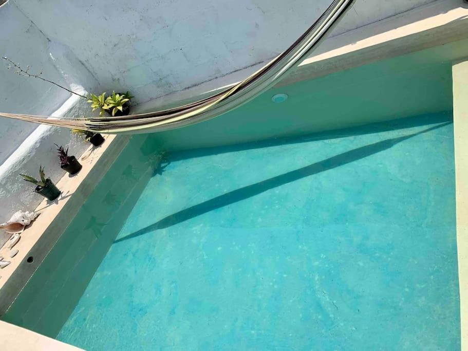 Casita Azul Colonial En El Centro De Merida. المظهر الخارجي الصورة